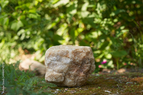 a model of an empty stone podium with a natural concept of a rock and green plants. High quality photo