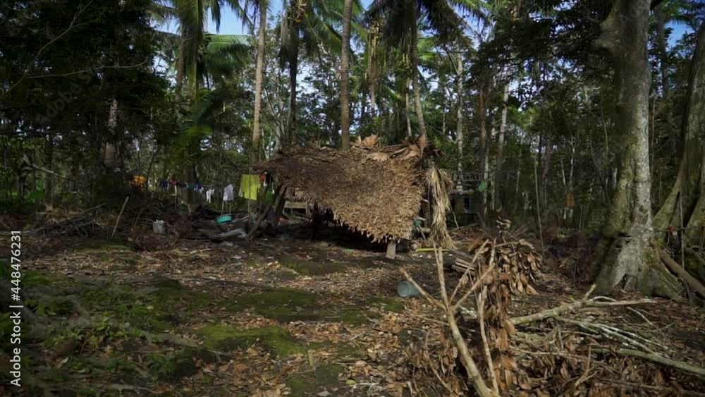 Storm-Wreaked Indigenous Farm House in the Woods Gimbal Push-In Storm-Wreaked Indigenous Farm House in the Woods Gimbal Push-In