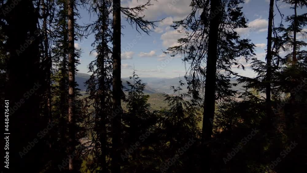 Point of view shot through the trees to see the mountains in the fall. Many tall tress Point of view shot through the trees to see the mountains in the fall. Many tall tress