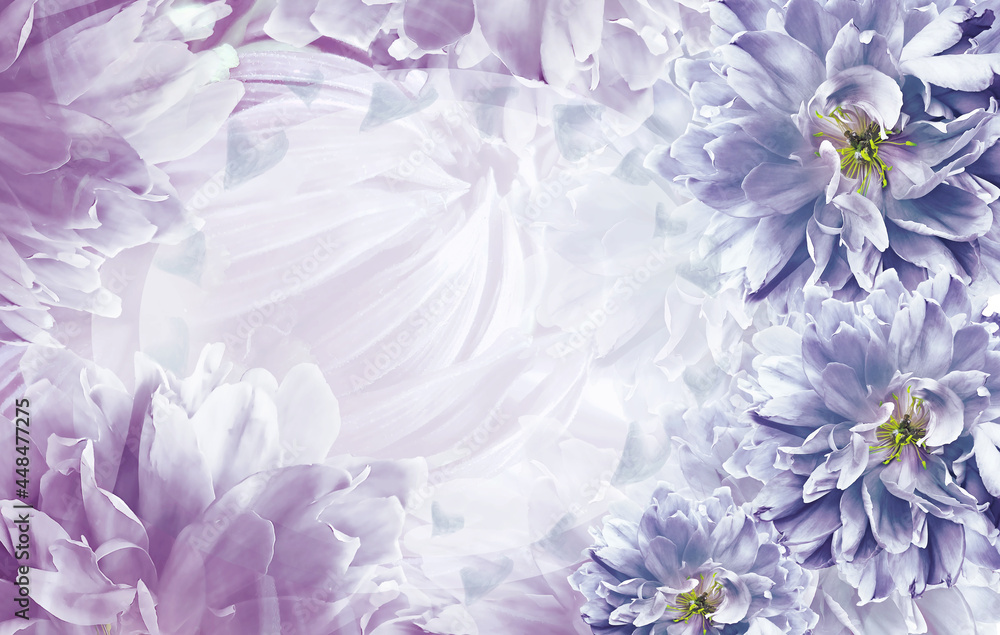 Obraz premium flowers purple tulips on light purple background. Close-up. Greeting card. Nature.