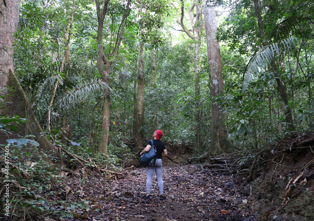 Selva Selva