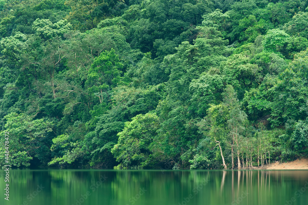 Idyllic landscape of country park Shing Mun reservoir in Hong Kong Idyllic landscape of country park Shing Mun reservoir in Hong Kong