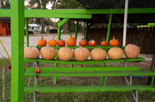 Pumpkin Stand Market