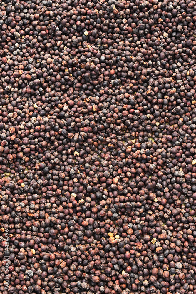 Coffee beans drying in the sun Coffee beans drying in the sun