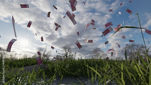 rupiah money rain in a field