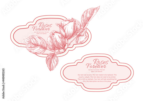 Set of face and back labels, stickers for food products or cosmetics in engraving, vintage, old, retro shabby chic style.. Stock vector illustration.