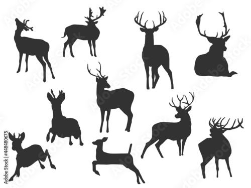 Set vector of the Deer  The shadow of different poses isolated on white background.