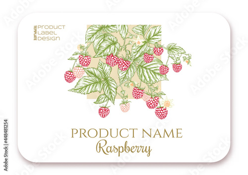 Raspberry. Ripe berries on branch. Template for product label, cosmetic packaging. Easy to edit. Graphic drawing, engraving style. Vector illustration..