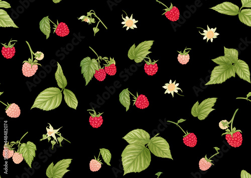 Raspberry. Ripe berries on branch. Seamless pattern, background. Graphic drawing, engraving style. Vector illustration on black background.