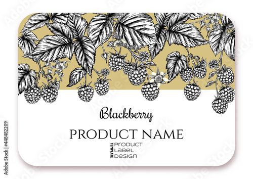 Blackberry. Ripe berries on branch. Template for product label, cosmetic packaging. Easy to edit. Graphic drawing, engraving style. Vector illustration..