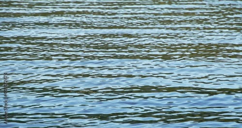 Port moody, false creek water 4k, 60fps photo