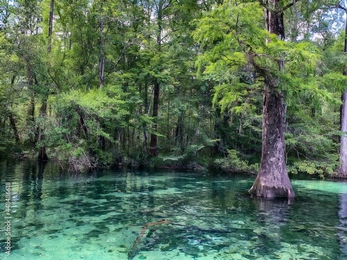 Fotografie DeLeon Springs State Park in Florida
