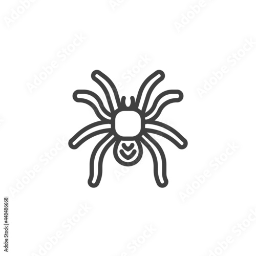 Tarantulas spider line icon