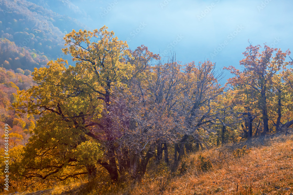 mountain backbone at the early morning, autumn natural scene