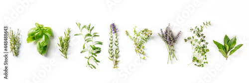 Herbes de Provence with lavender, traditional French aromatic herbs panorama, shot from the top on a white background