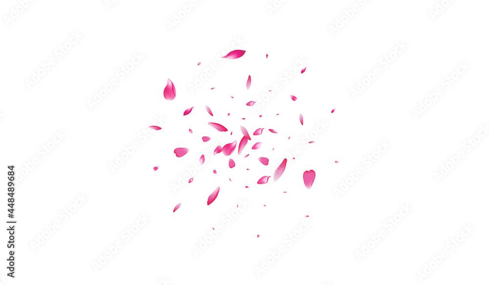 Fototapeta premium White Cherry Petal Vector White Background.