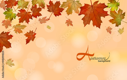 Multicolor maple leaves falling down on bright warm background with beautiful bokeh