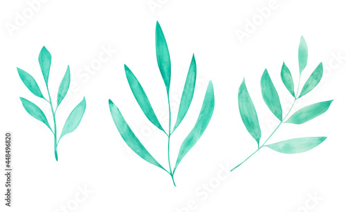Set of 3 watercolor leaves isolated on a white background. Hand-drawn tropical leaf illustration. Green floral clipart. Botanical objects. Tea leaf. Bright freshness part of tree print.