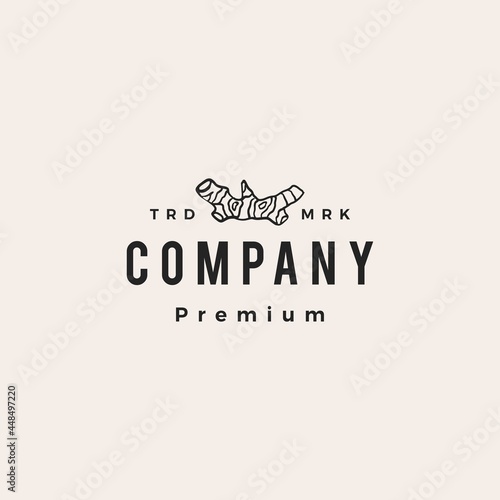 ginger hipster vintage logo vector icon illustration