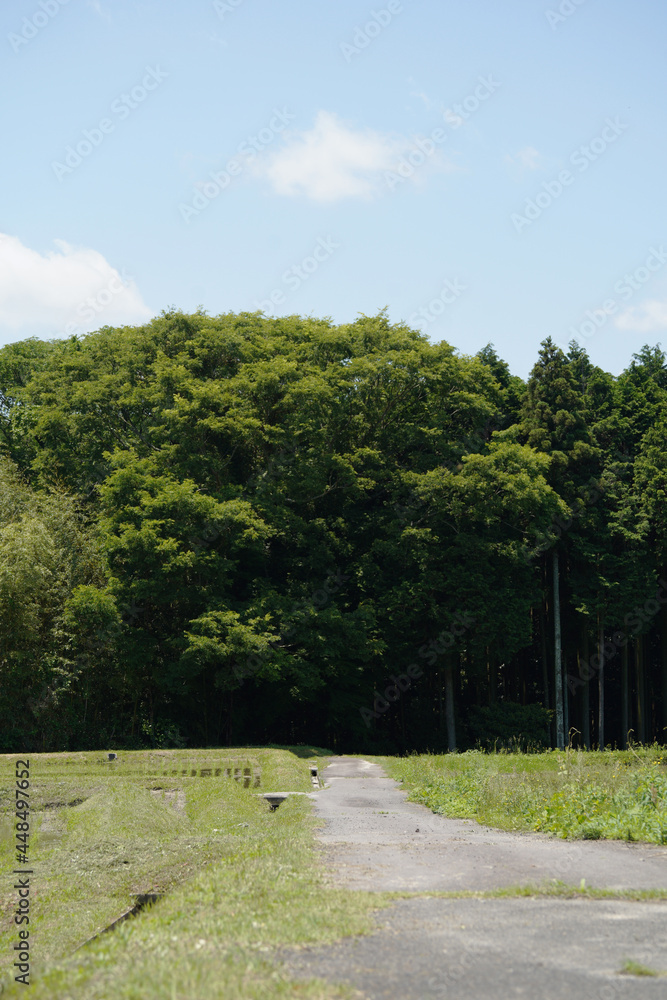日本の田園風景 日本の田園風景