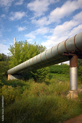 pipeline in a forest park on the outskirts of the city