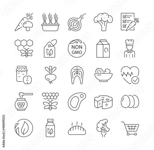 Thin line icons of healthy, organic food and diet. Outline signs and symbols collection. Onion, cheese vegetables, honey, carrot. Set of flat cartoon vector illustrations isolated on white background