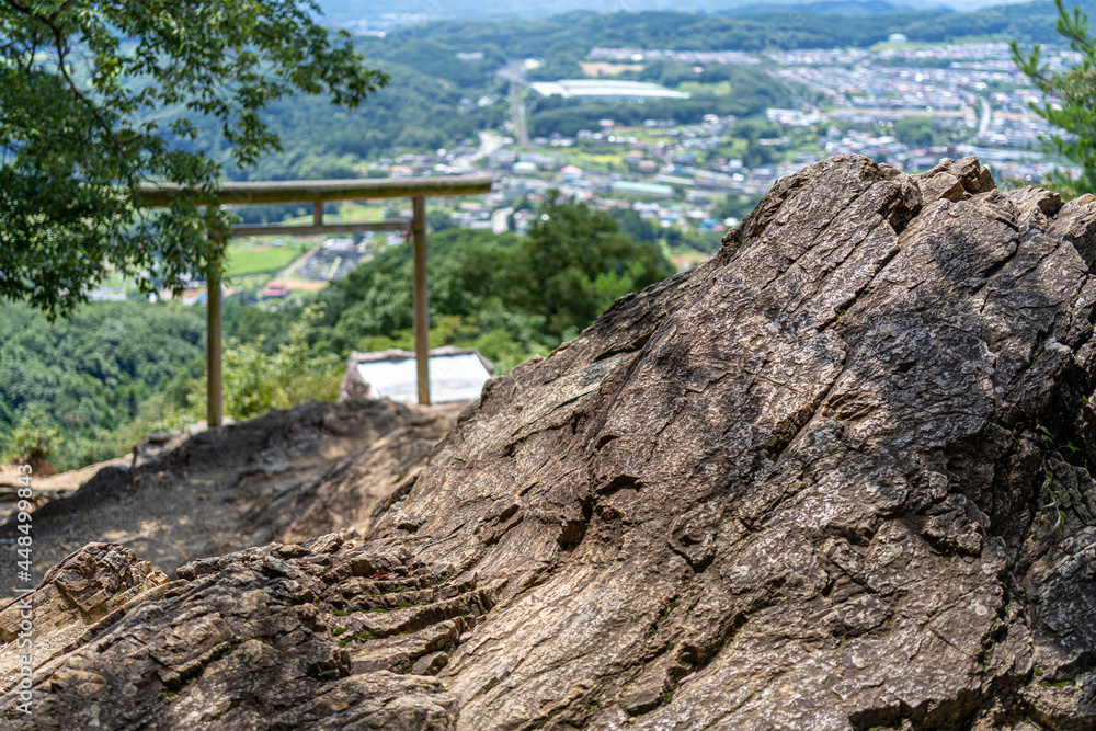 日和田山から見える鳥居と日高市の街並み
