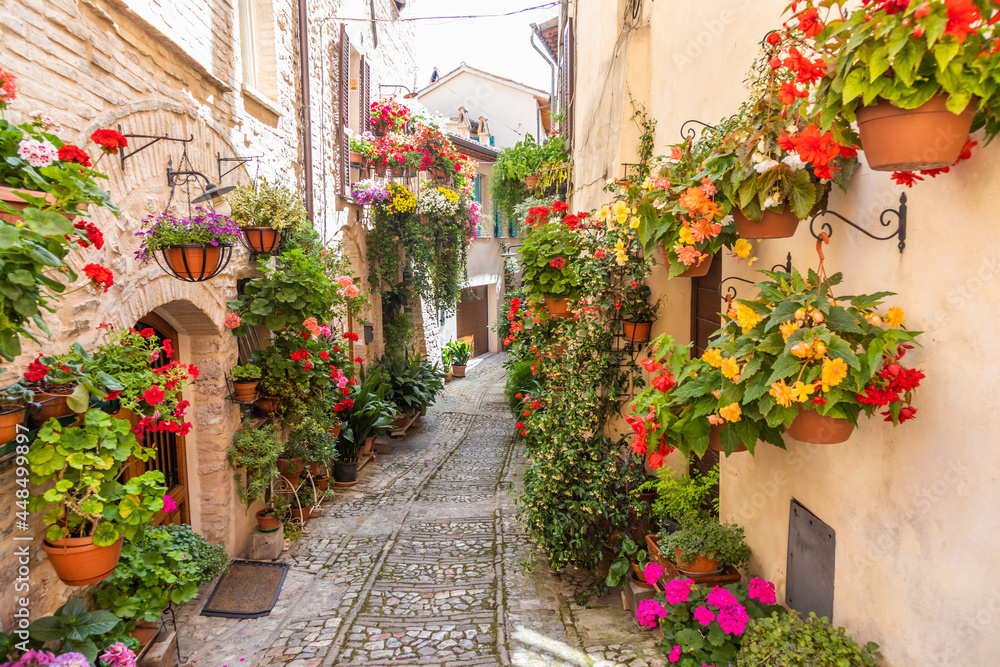 Obraz Kwiaty w starożytnej ulicy znajdującej się w wiosce Spello. Region Umbria, Włochy.