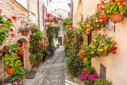 Fototapeta Naklejka Na Ścianę i Meble -  Flowers in ancient street located in Spello village. Umbria Region, Italy.