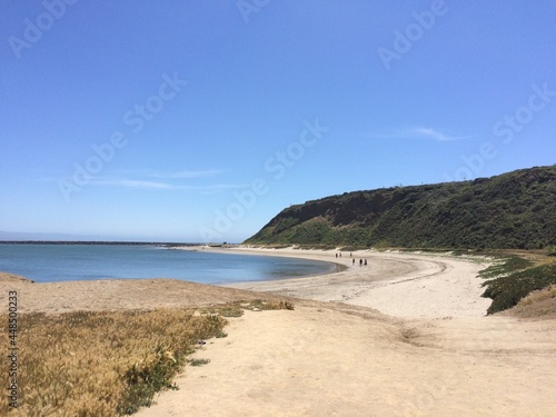 Half moon bay in bay area  USA