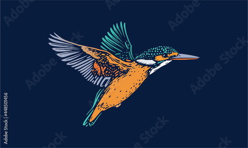 Fotografia kingfisher on dark background_2