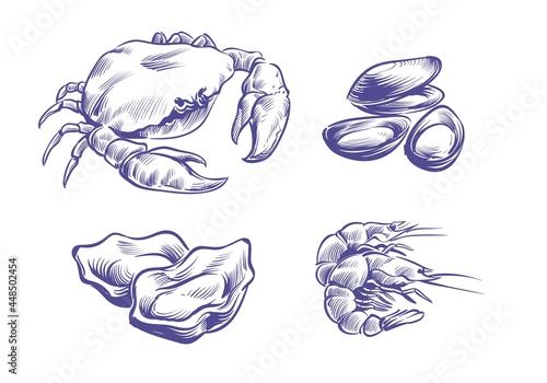 Hand drawn seafoods. Hand drawn oysters and mussels, crabs and shrimps. Shellfish natural seafood in sketch style. Delicious delicacy cooking ingredient vector isolated on white background set