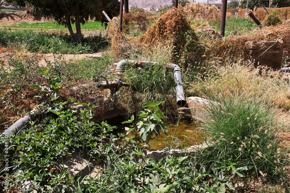 The garden in arab village close Najran, Asir region, Saudi Arabia