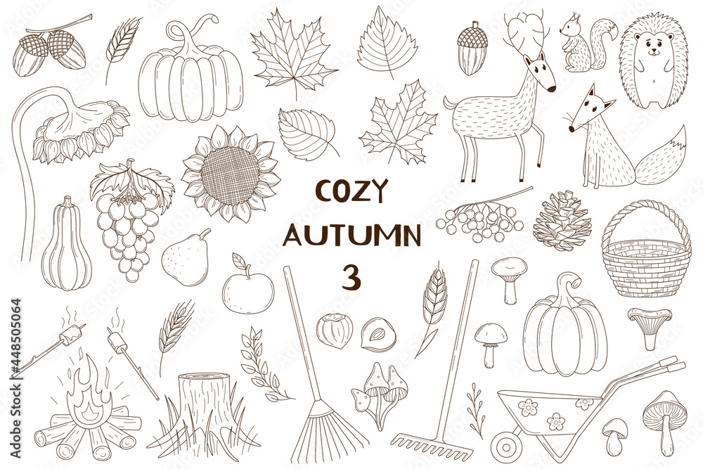 A set of decorative elements. Autumn, forest animals. Crops, forests, animals. Design collection of outline doodles. Black and white vector illustration. Isolated on a white background.