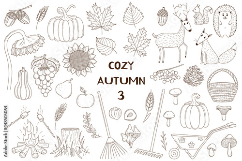 A set of decorative elements. Autumn, forest animals. Crops, forests, animals. Design collection of outline doodles. Black and white vector illustration. Isolated on a white background.