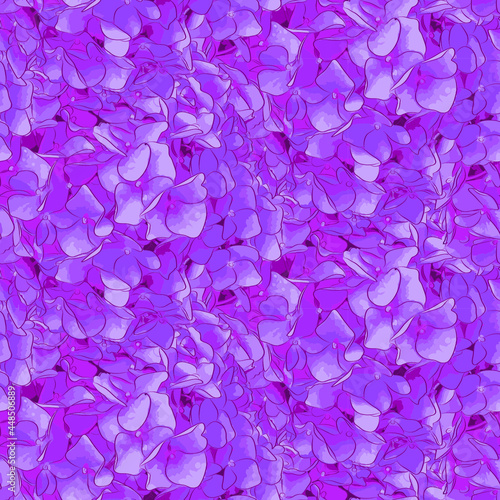 Hydrangea flower background pattern 