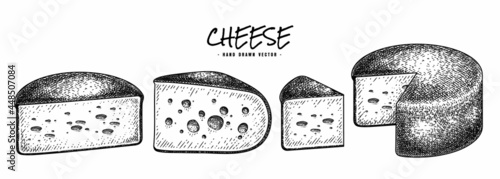 Cheese collection hand drawn sketch vector