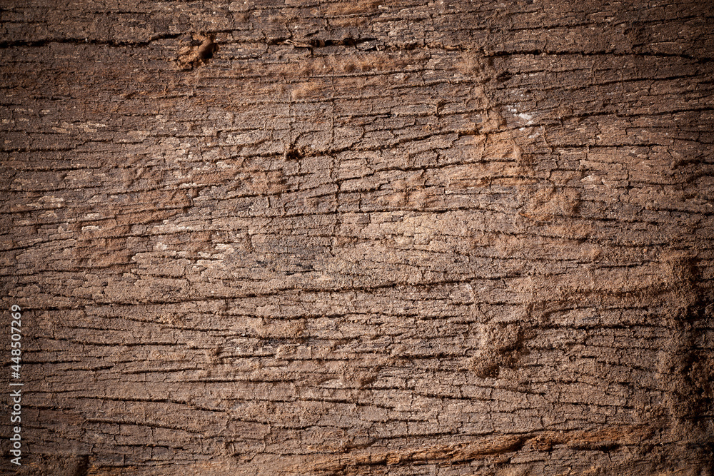 Texture old wood background.