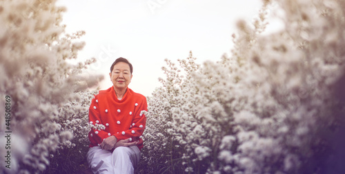 Asian senior elderly happy woman smiling celebrating Christmas h