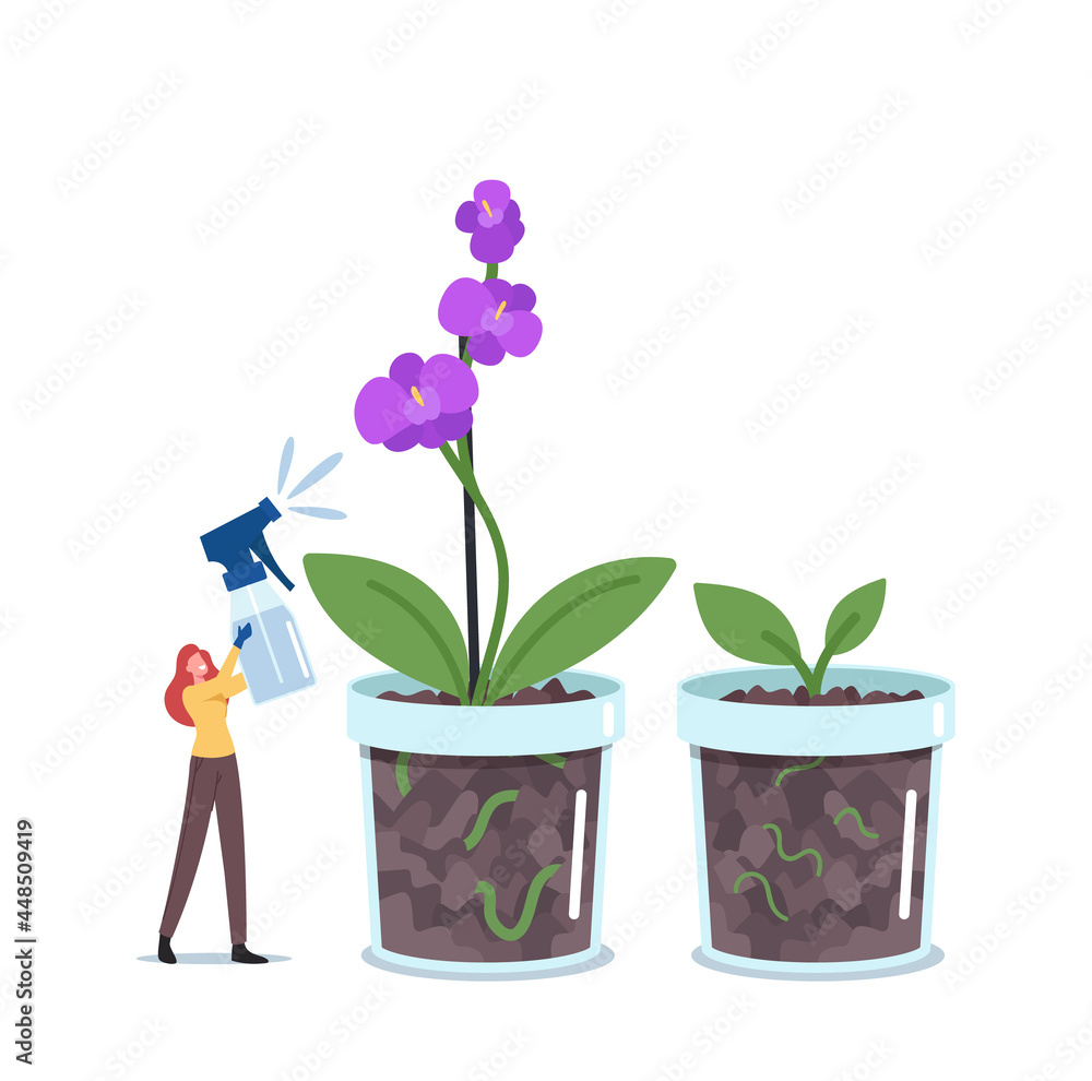 Tiny Woman Botanist Watering or Spraying Huge Orchid Phalaenopsis Plant in Flowerpot. Gardening Hobby, Exotic Blossom Tiny Woman Botanist Watering or Spraying Huge Orchid Phalaenopsis Plant in Flowerpot. Gardening Hobby, Exotic Blossom