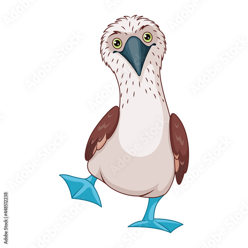 Blue footed booby vector cartoon illustration