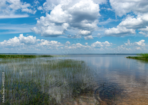 summer landscape with a charming lake, white clouds and blue sky reflect in calm water, clean and clear water, grassy shores, Lake Burtnieki, Latvia