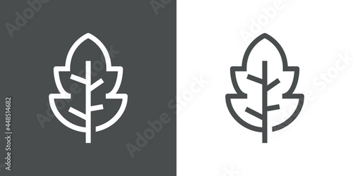 Icono plano hoja de árbol con lineas en fondo gris y fondo blanco