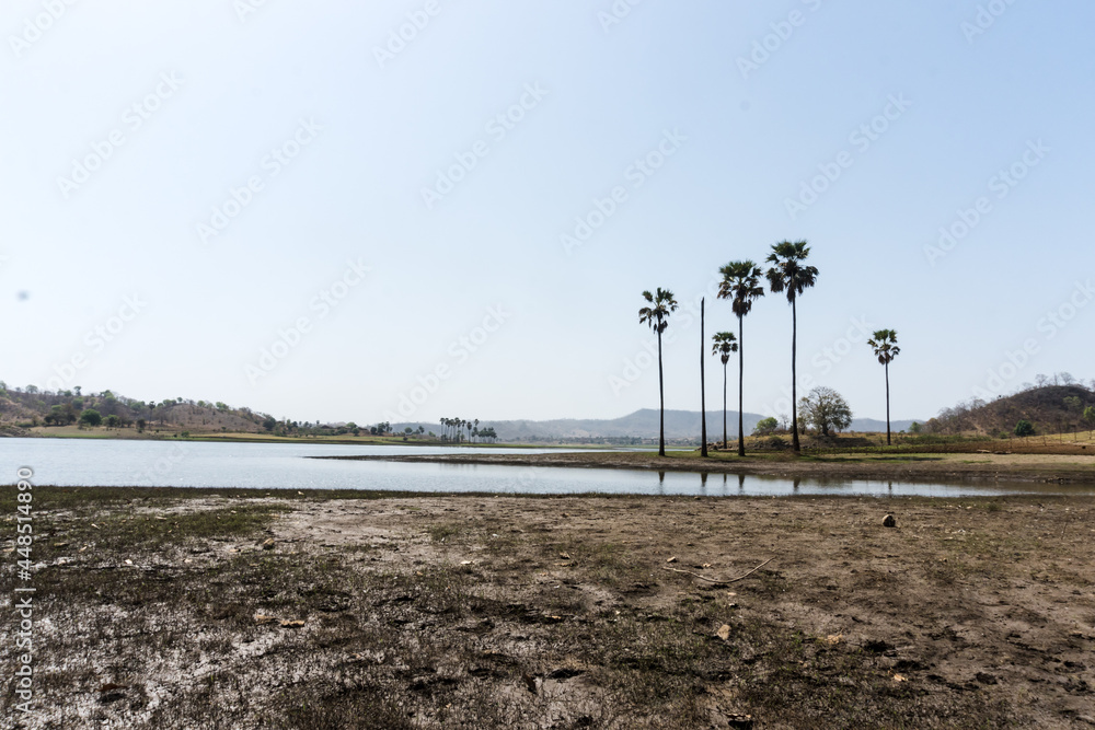 Vishal Khadi Eco Campsite. beautiful palm trees, water reflection, green field, huts, lake