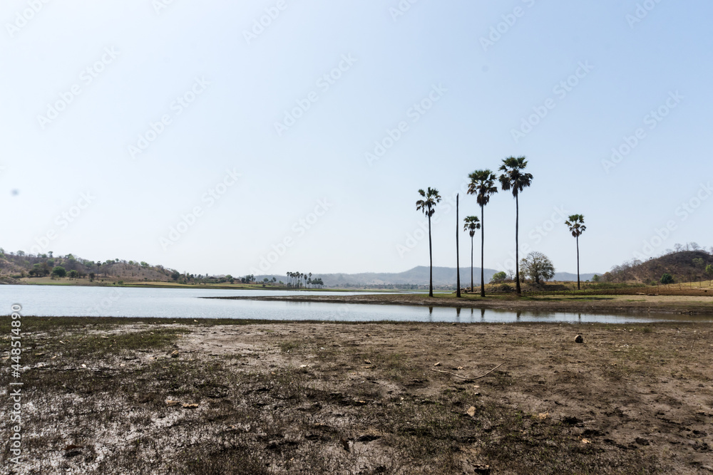 Vishal Khadi Eco Campsite. beautiful palm trees, water reflection, green field, huts, lake Vishal Khadi Eco Campsite. beautiful palm trees, water reflection, green field, huts, lake