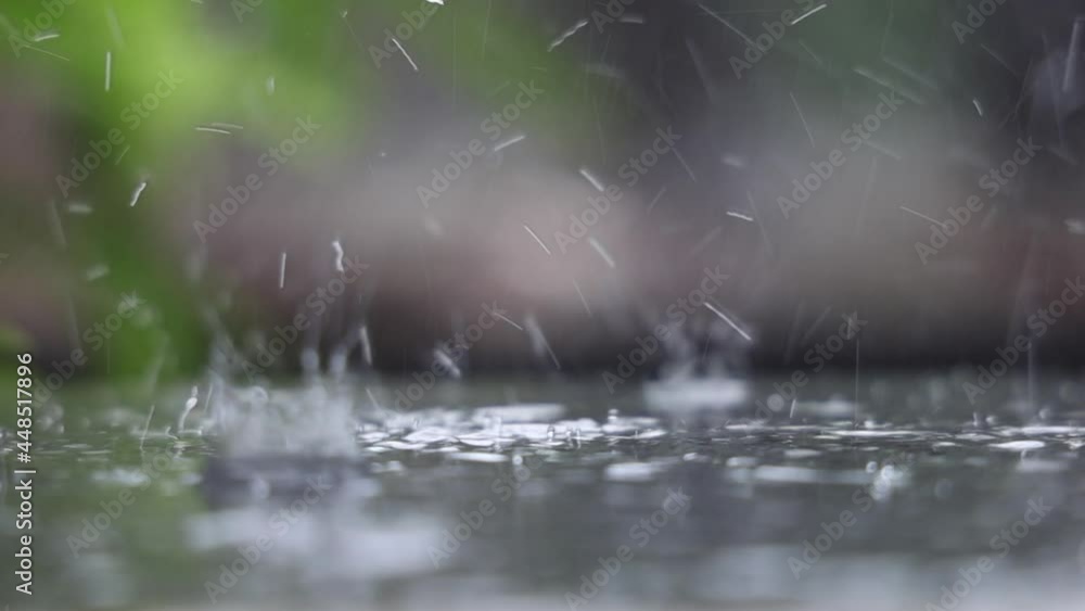 Close up rain drops on rainy summer day. Slow motion. Close up rain drops on rainy summer day. Slow motion.