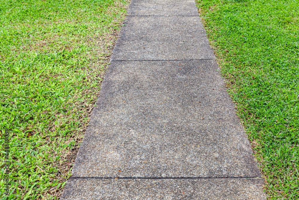 Long concrete walkway in the summer green garden Long concrete walkway in the summer green garden