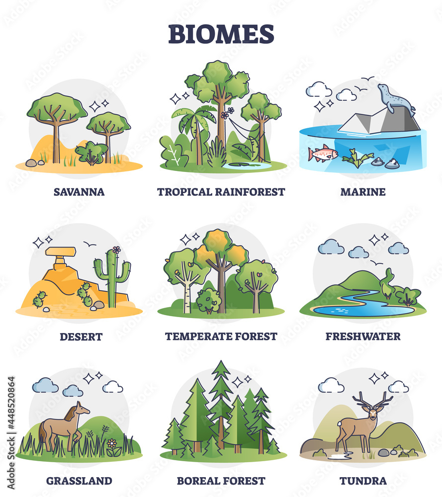Biomes as biogeographical climate zones division in outline collection set. Different weather environments and habitat description vector illustration. Savanna, marine, desert and tundra examples. - obrazy, fototapety, plakaty 