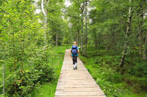 Wooden planks away, hiking in Red Moor, Rhön mountains - Germany