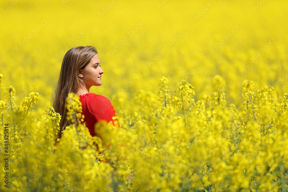 Woman in red contemplating in a yellow field Woman in red contemplating in a yellow field